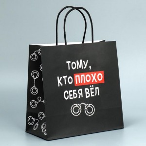 Пакет подарочный крафтовый «Тому, кто себя плохо вел» 22 × 22 × 11 см